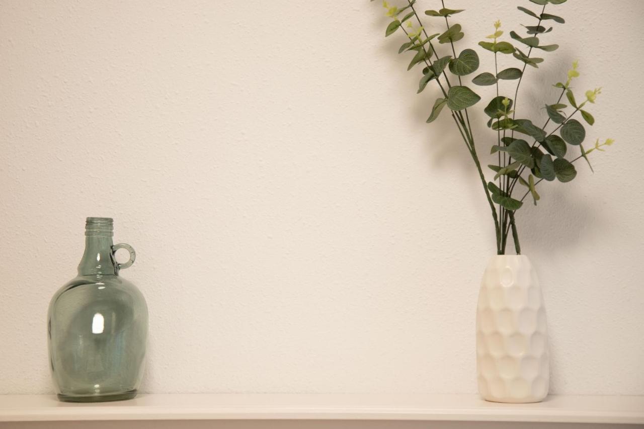 Cute And Comfy Apartment By Cisan Rentals San Sebastián Zewnętrze zdjęcie